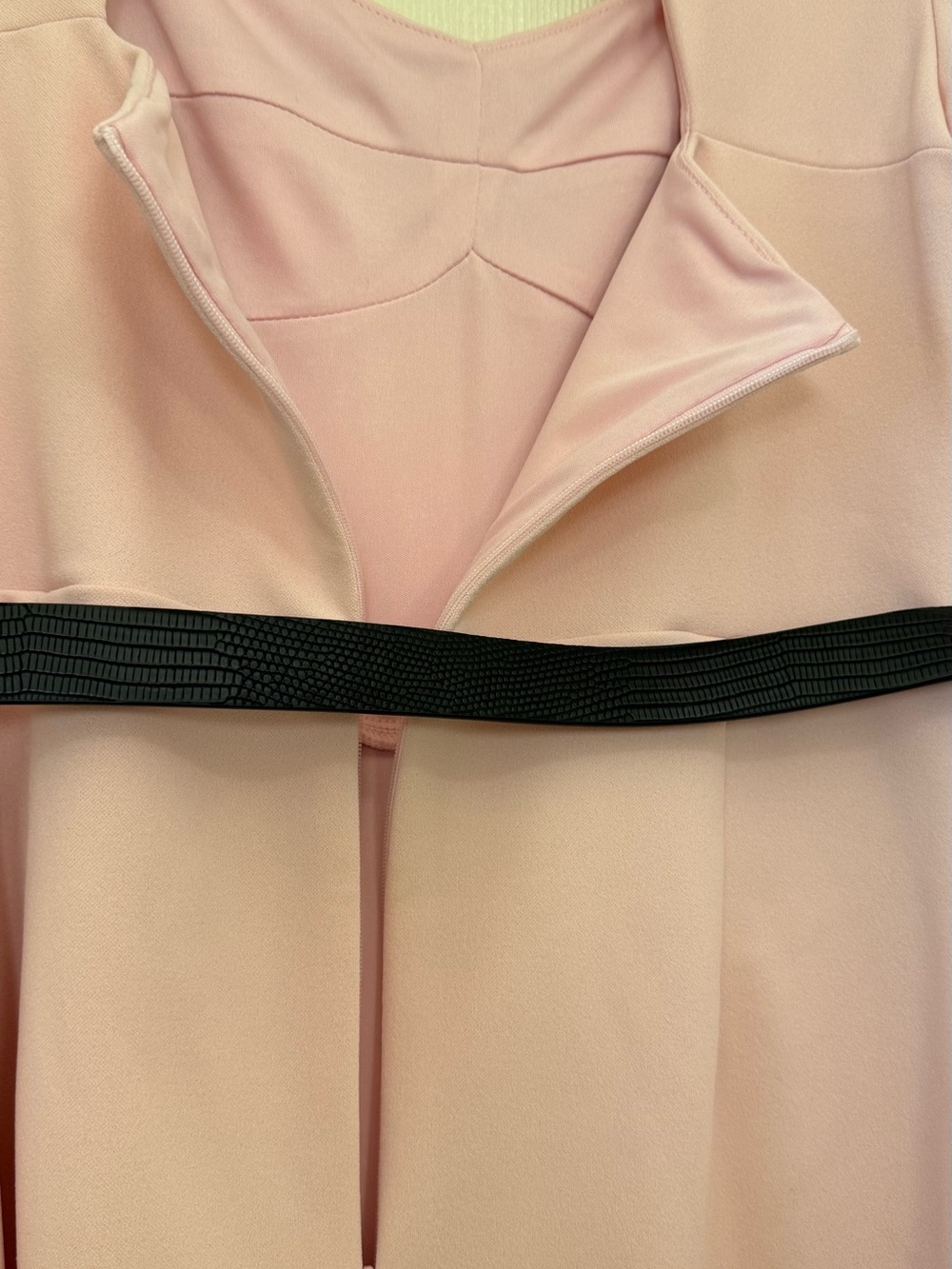 BCBG Pink Mini Dress with Black Accent - Picture 10 of 11